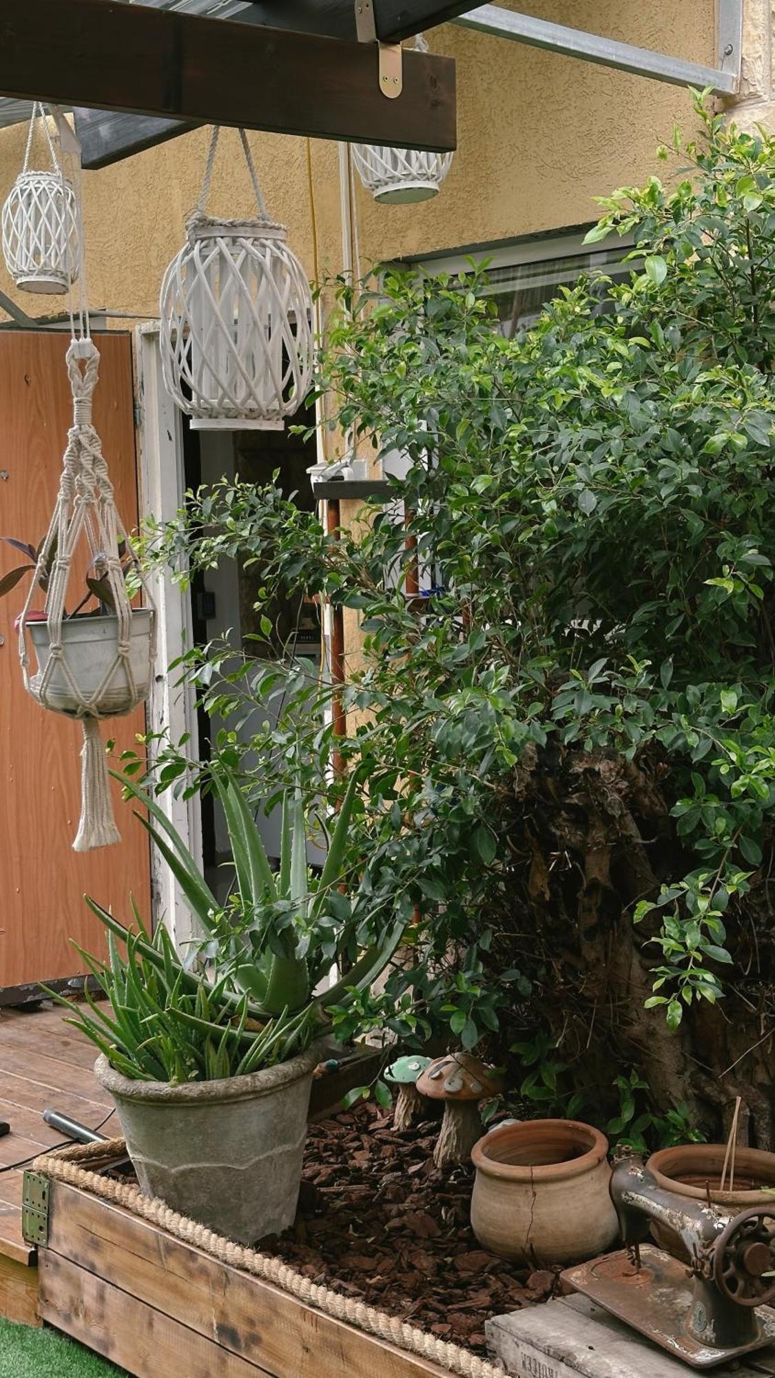 Dream House Art Hostel Garden And Terrace Haifa Bagian luar foto
