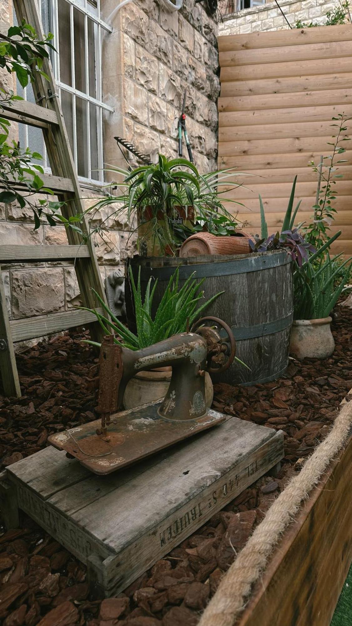 Dream House Art Hostel Garden And Terrace Haifa Bagian luar foto