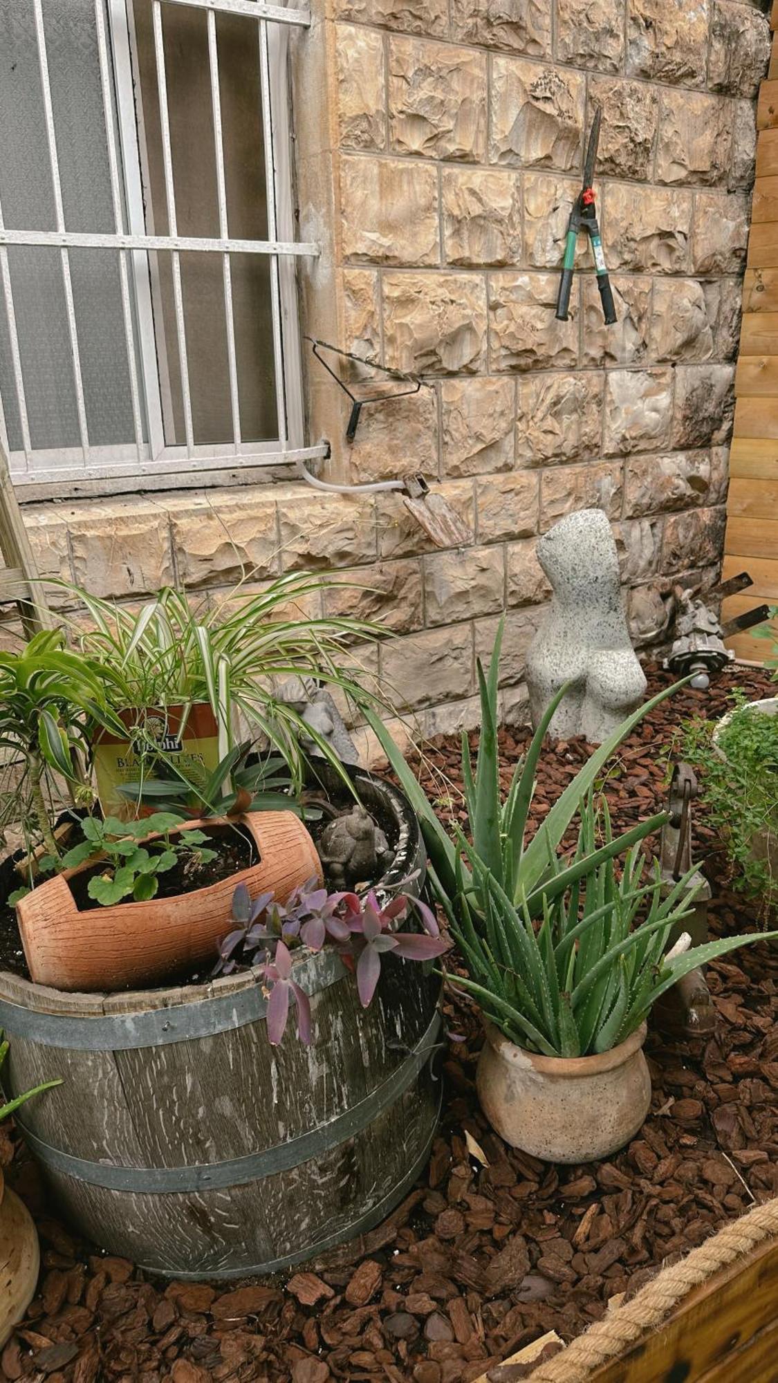 Dream House Art Hostel Garden And Terrace Haifa Bagian luar foto